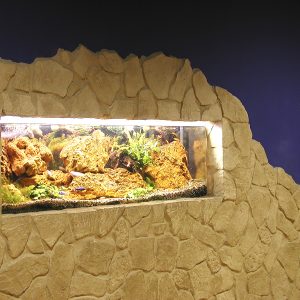 wanddekor mediterran mit gipsstein rodos