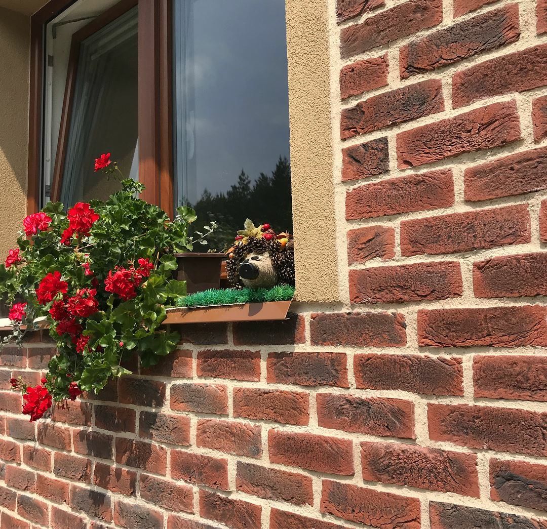 Holland Bricks